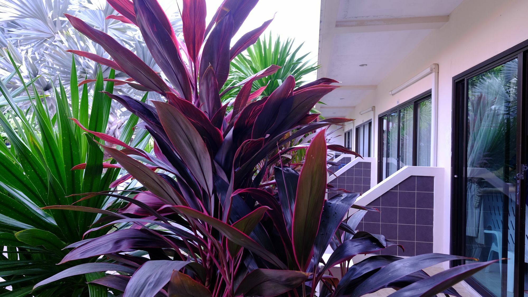 Samui Guest House Lamai Beach  Екстер'єр фото